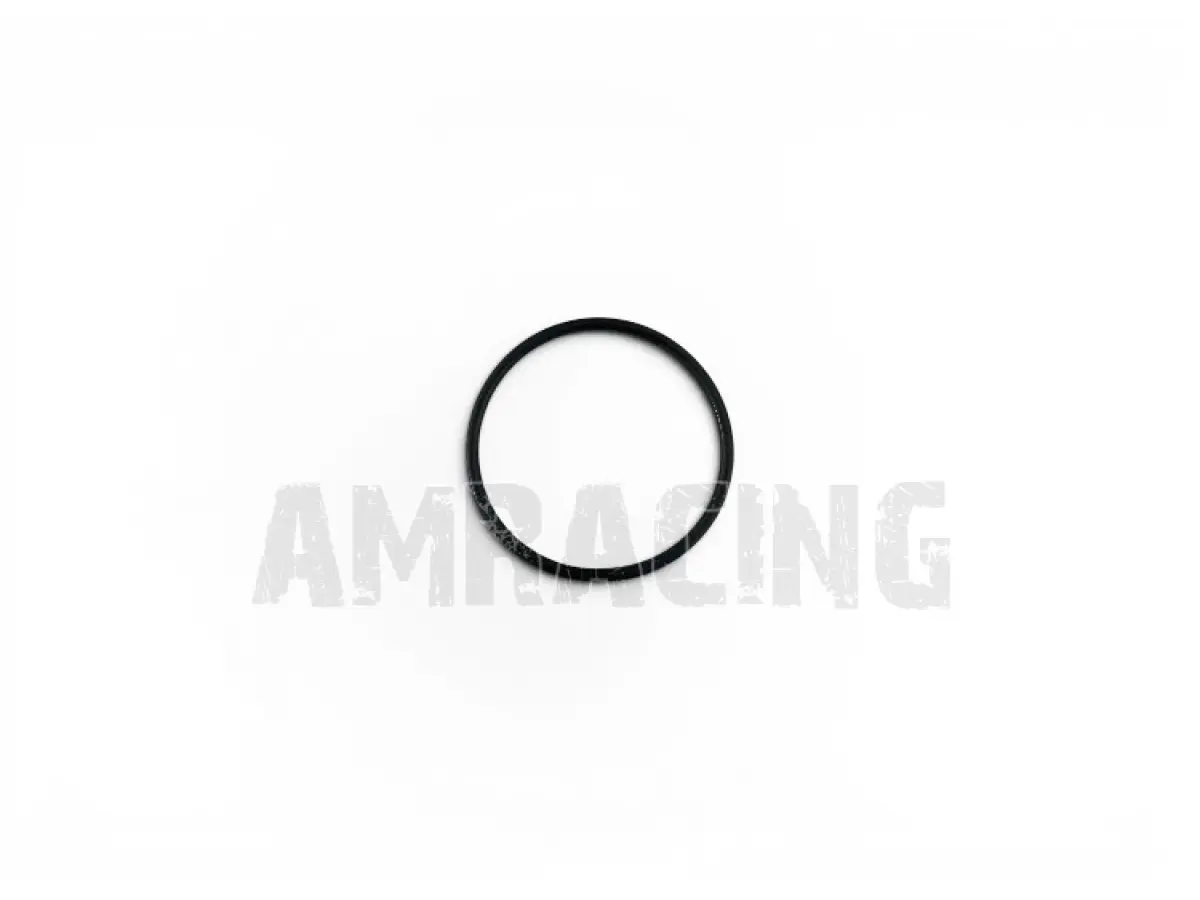 O RING TENUTA CORPO AMMORTIZZATORE TM